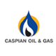 Caspian Oil & Gas'2007