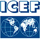   / ICEF'2007